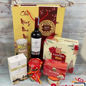 Túi quà tết xuân QT212